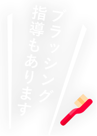 ブラッシング指導もあります